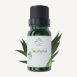 Huile Essentielle d’Eucalyptus – زيت الكاليبتوس الأساسي