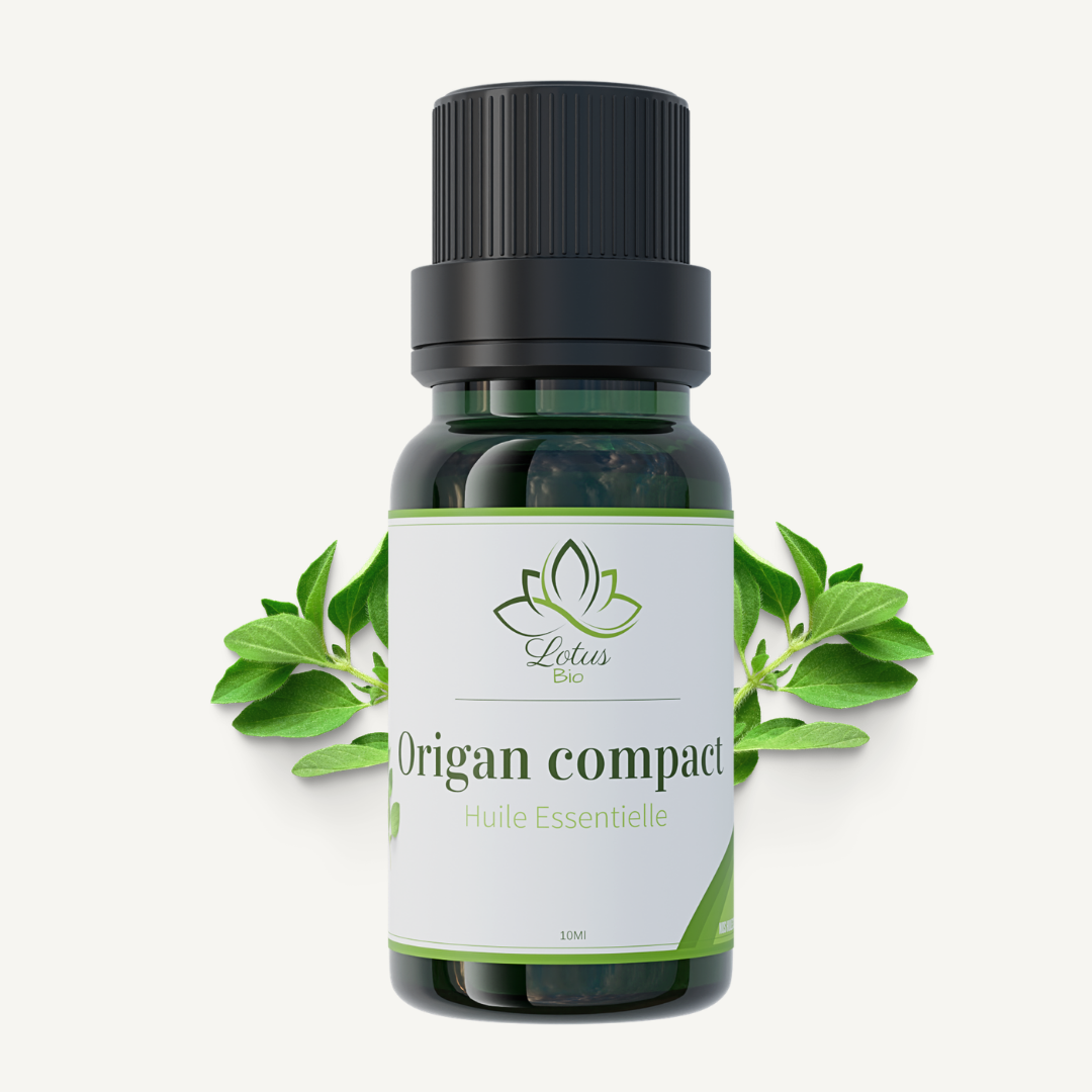 Huile Essentielle d’Origan Huile Essentielle d’Origan – زيت الزعتر البري – Image 1