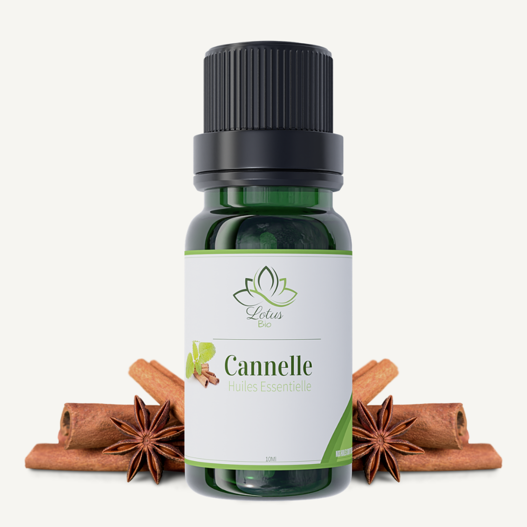 Huile Essentielle de Cannelle Huile Essentielle de Cannelle – زيت القرفة – Image 1