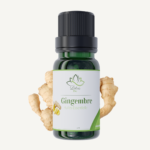 Huile Essentielle de Gingembre – زيت الزنجبيل