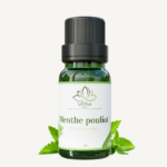 Huile Essentielle de Menthe Poivrée – زيت النعناع الأساسي