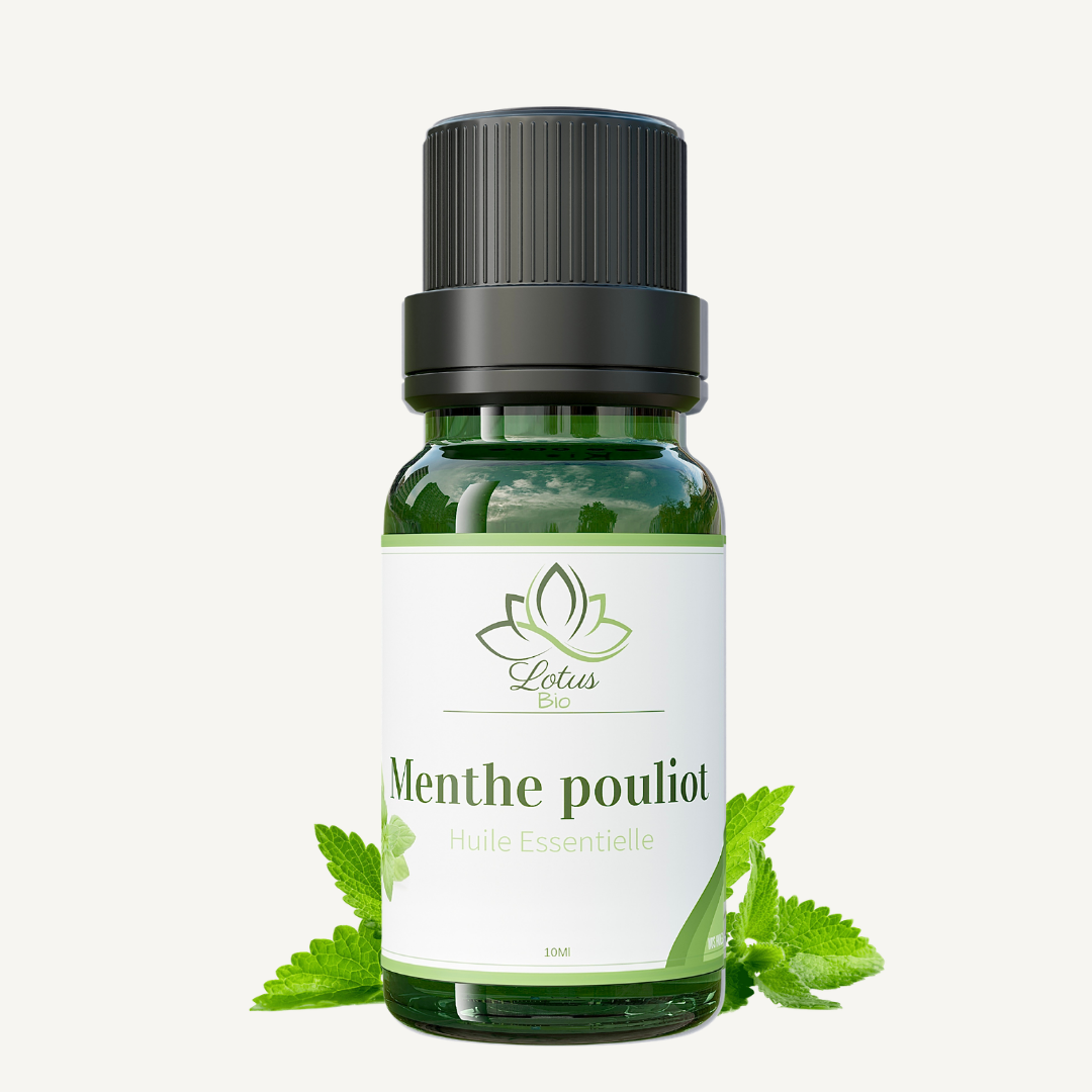 Huile Essentielle de Menthe Poivrée Huile Essentielle de Menthe Poivrée – زيت النعناع الأساسي – Image 1