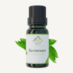 Huile Essentielle de Ravintsara – زيت الرافينتسارا