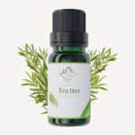 Huile Essentielle de Tea Tree – زيت شجرة الشاي