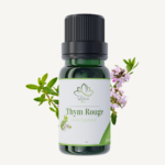 Huile Essentielle de Thym Rouge – زيت الزعتر الأحمر