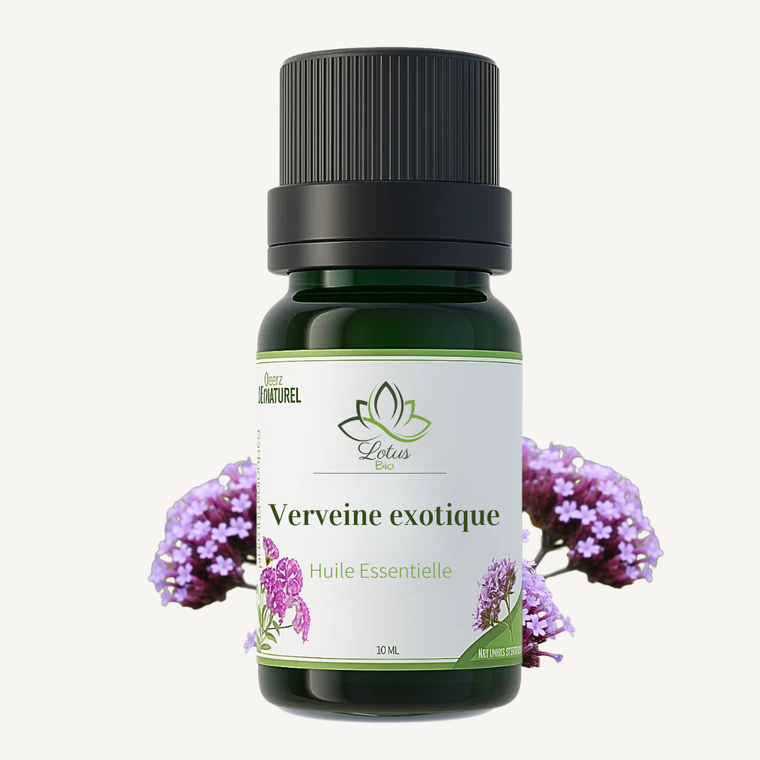 Huile Essentielle de Verveine Exotique Huile Essentielle de Verveine Exotique – زيت اللويزة – Image 1
